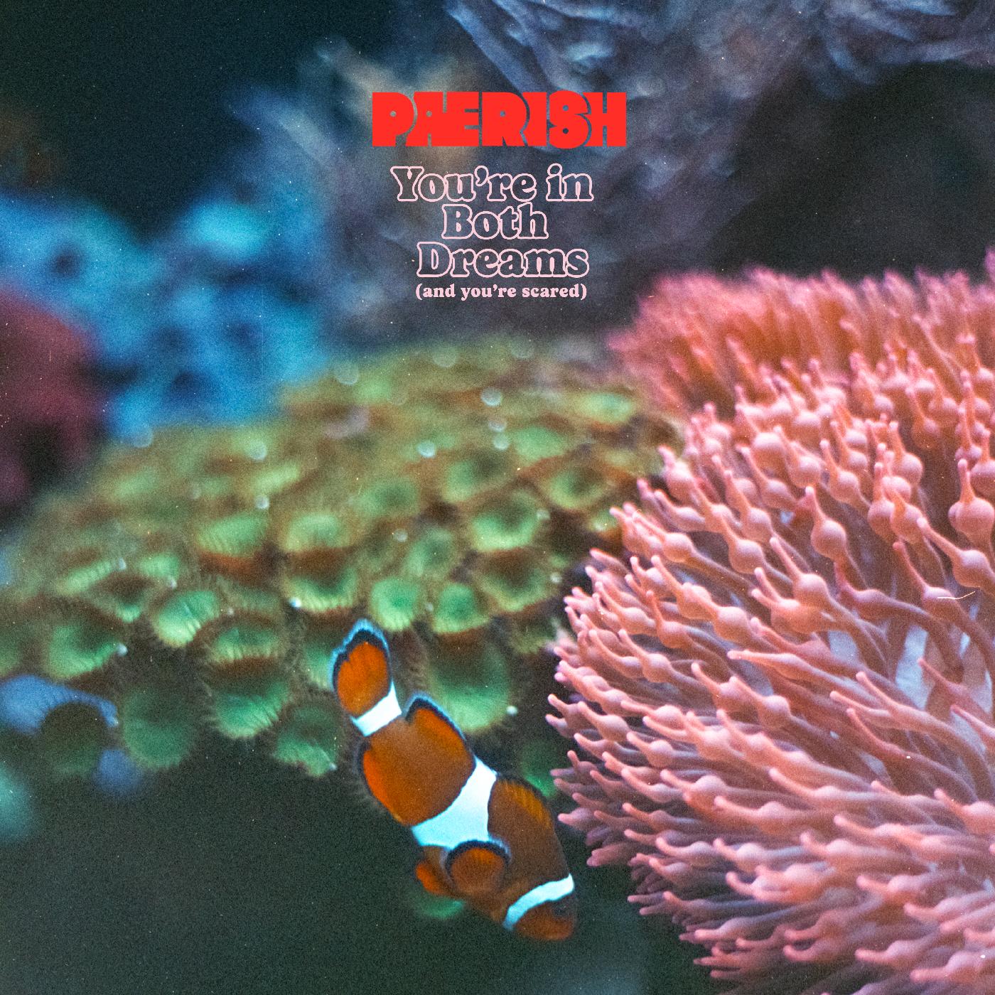 PAERISH | You're in both dreams (and you're scared) | Vinyl