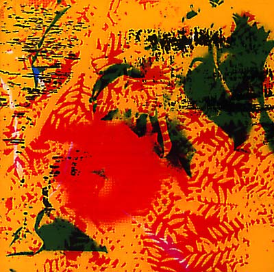 PHILL NIBLOCK - YPGPN | CD