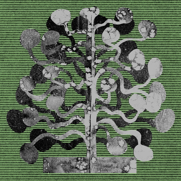 CHURCH ANDREWS & MATT DAVIES - Yucca | Vinyl
