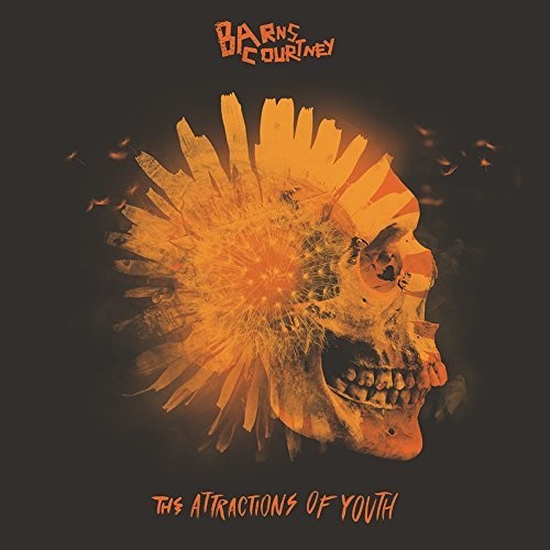 Barns Courtney | The Attractions Of Youth (Picture Disc Vinyl) | Vinyl