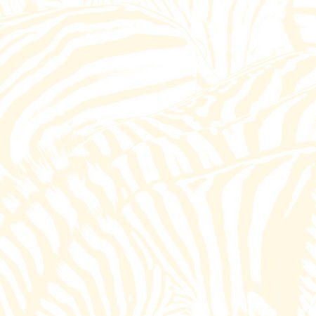 Beach House | Teen Dream (Bonus DVD) (2 Lp's) | Vinyl