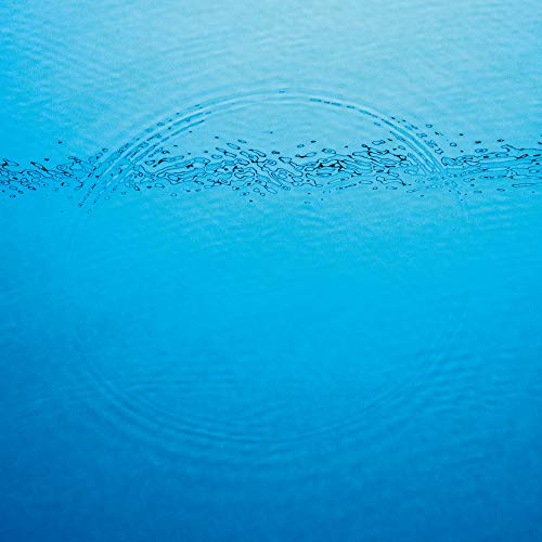 Caribou | Suddenly | Vinyl