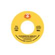 DJ Spinna | DJ SPINNA & KAI ALCE PRESENT: "FOUNDATIONS" - CLASSIC HOUSE 45 SERIES PART 5: | Vinyl