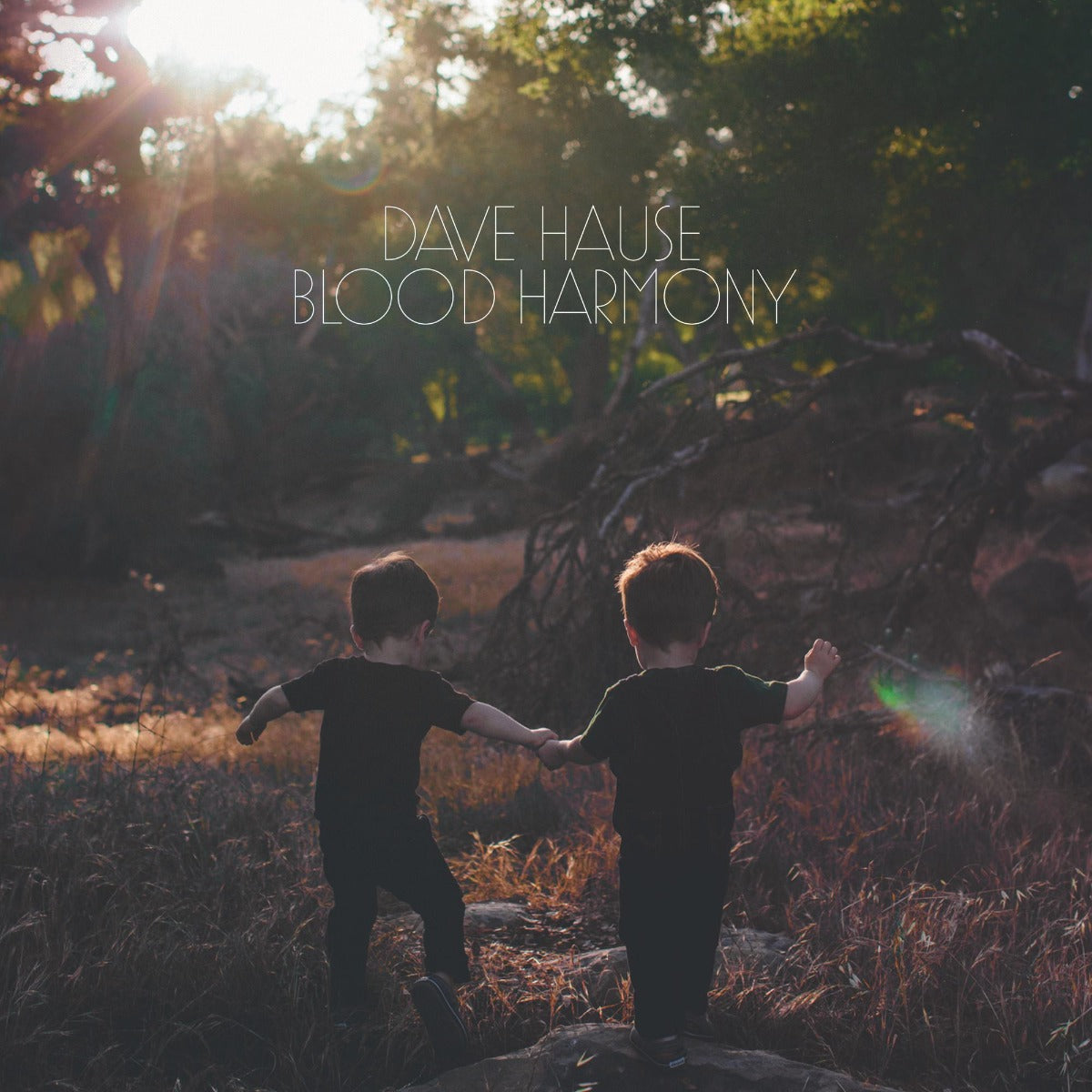 Dave Hause | Blood Harmony (Colored Vinyl, White) | Vinyl
