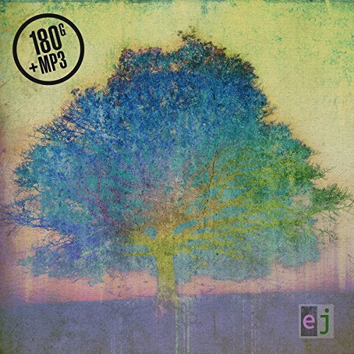 Eric Johnson | EJ | Vinyl