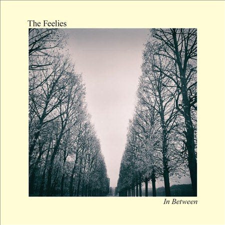 Feelies | IN BETWEEN | Vinyl
