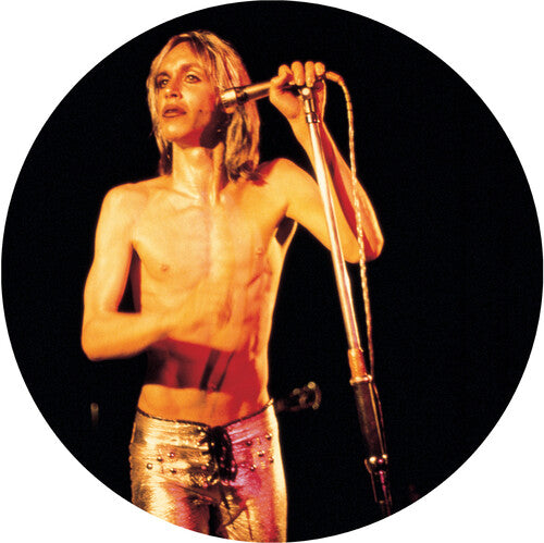 Iggy & The Stooges | More Power - A Gorgeous Picture Disc Vinyl (Picture Disc Vinyl LP, Remastered) | Vinyl
