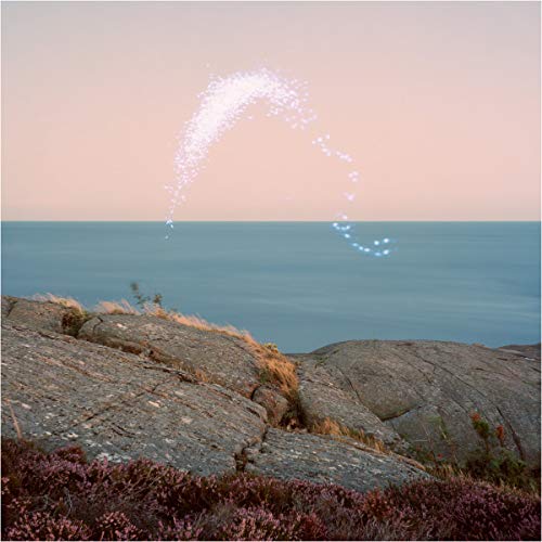 JENKINS, CASSANDRA | An Overview on Phenomenal Nature | Vinyl