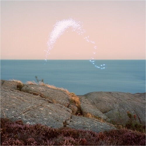 JENKINS, CASSANDRA | An Overview on Phenomenal Nature | Vinyl