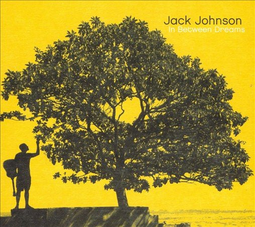 Jack Johnson | In Between Dreams | Vinyl