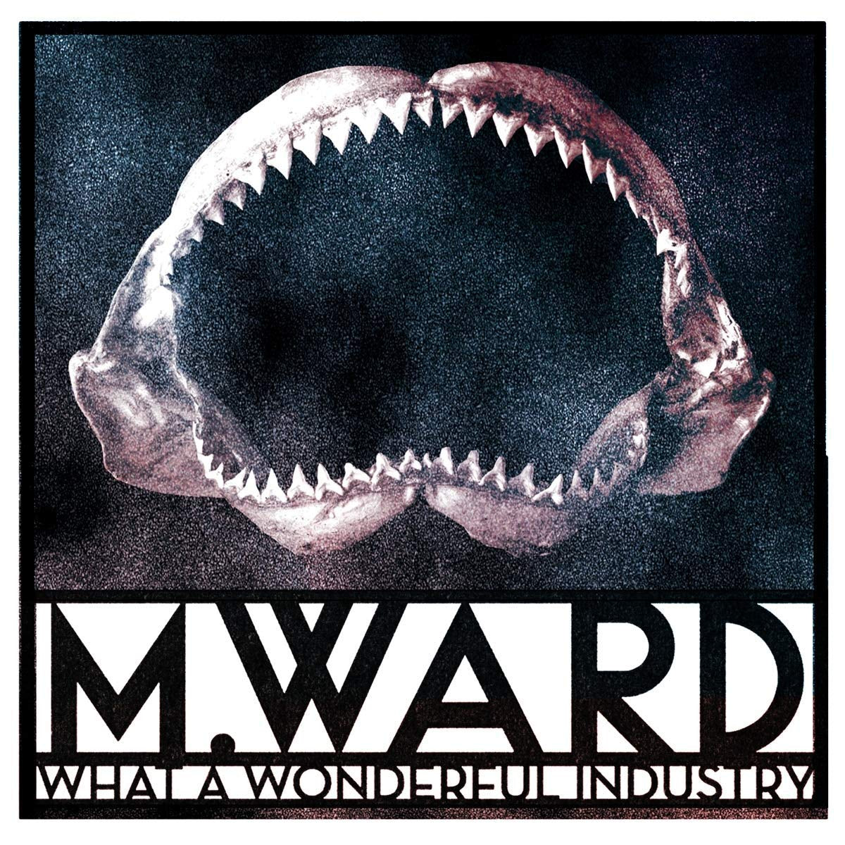 M. Ward | What a Wonderful Industry | Vinyl
