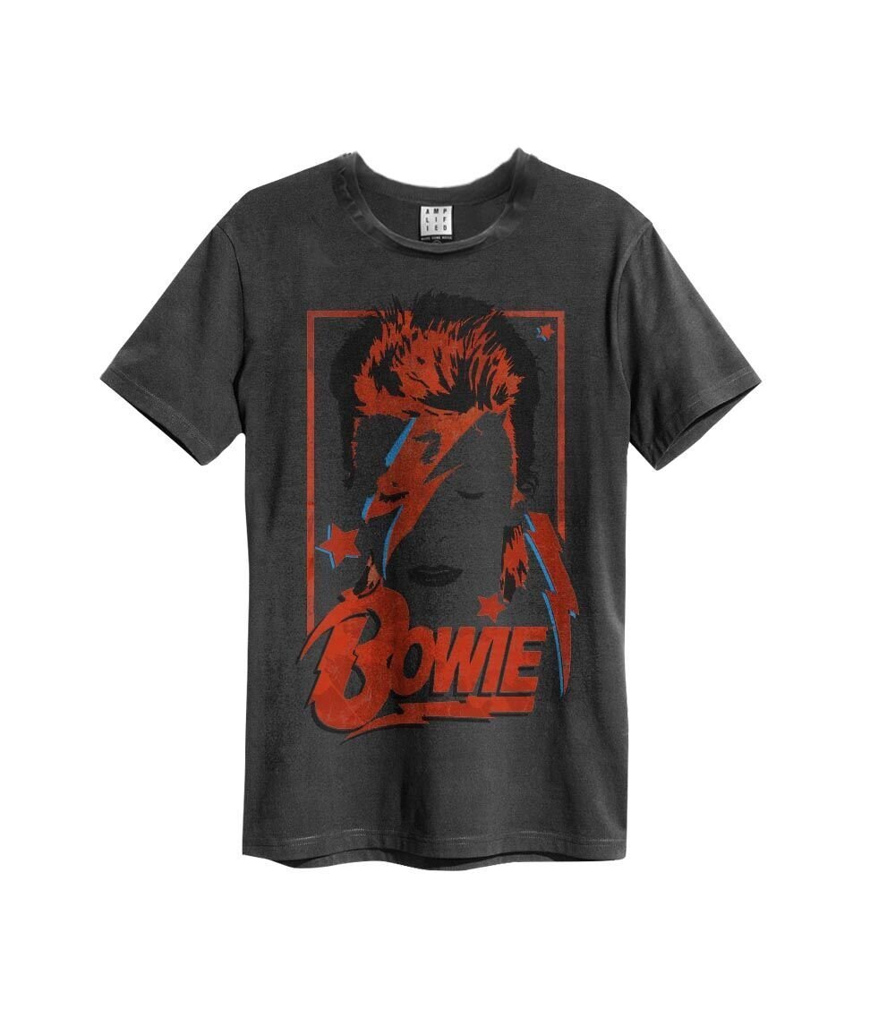 David Bowie | Aladdin Sane Vintage T-Shirt (Charcoal) |