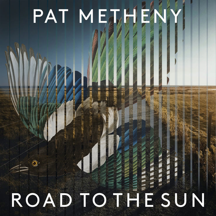Pat Metheny | Road to the Sun (Limited Deluxe Boxset)   | Vinyl
