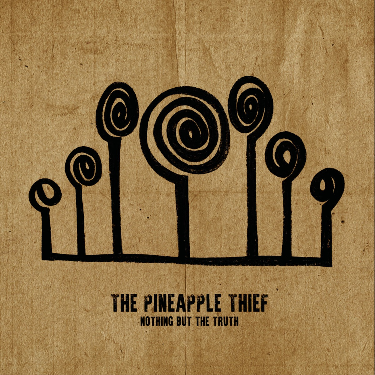 Pineapple Thief | Nothing But The Truth (2 Lp's) | Vinyl