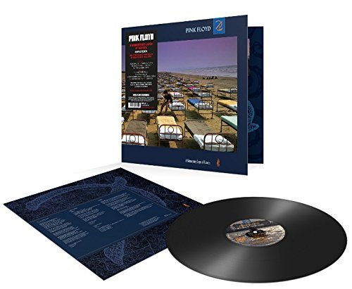 Pink Floyd | Pink Floyd - Momentary Lapse Of Reason (2011 Remastered) LP | Vinyl