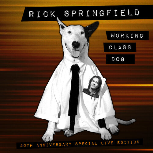 Rick Springfield | Working Class Dog: 40th Anniversary Special Live Edition (With DVD) | CD