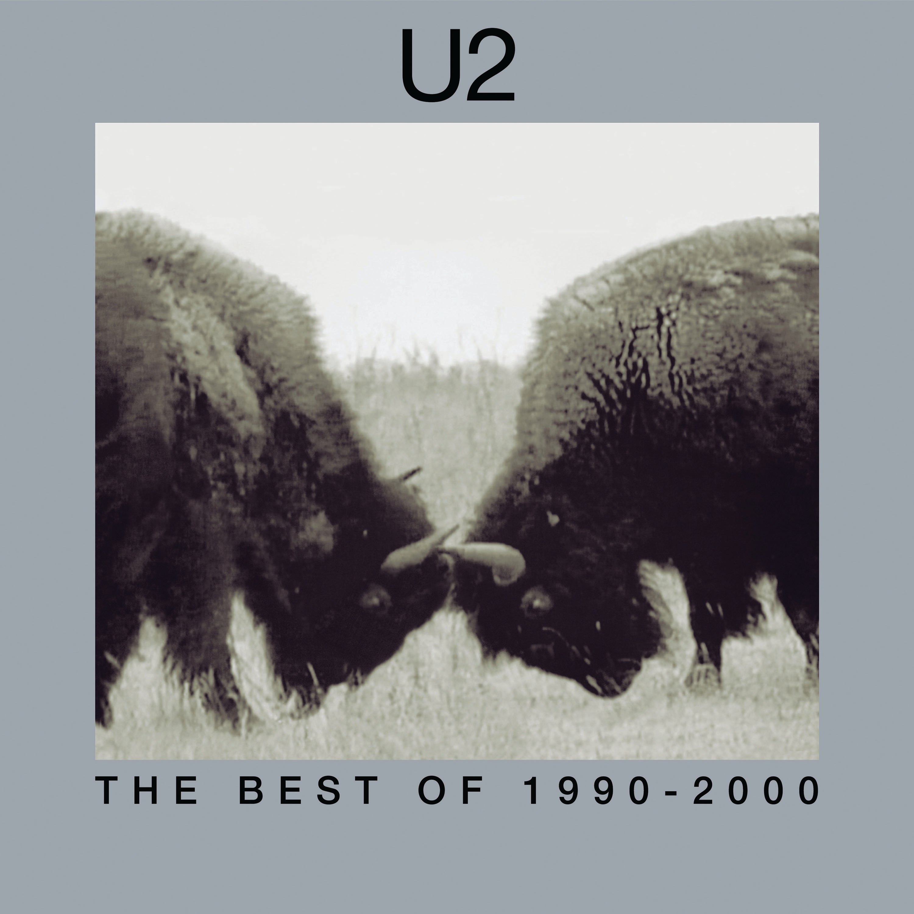 U2 | The Best Of 1990-2000 (180 Gram Vinyl) (2 Lp's) | Vinyl
