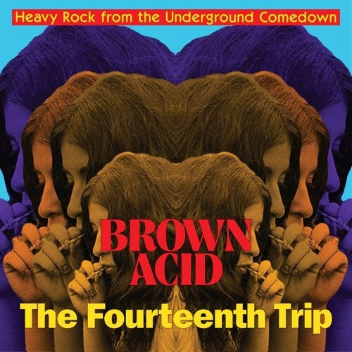 VARIOUS ARTISTS | Brown Acid: The Fourteenth Trip | Vinyl