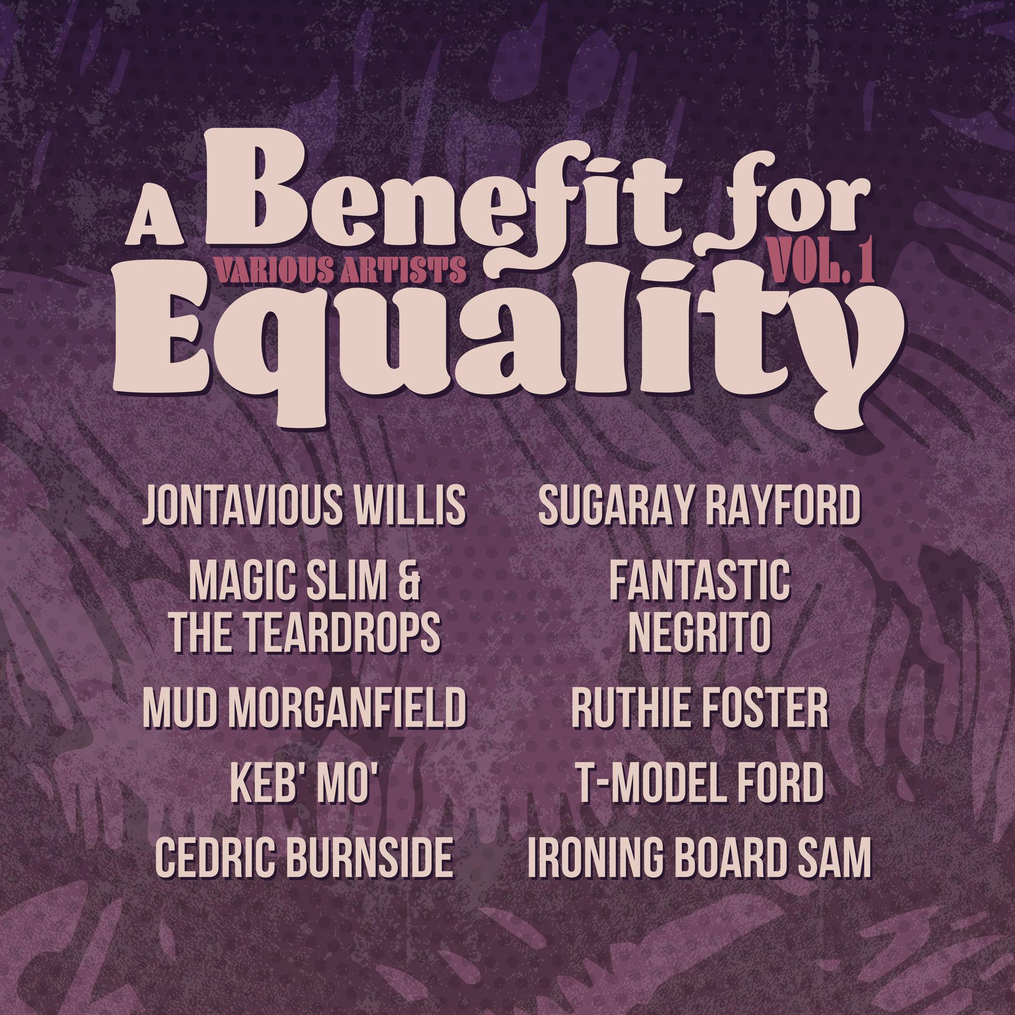 Various Artists | Benefit For Equality 1 (Limited Edition, Indie Exclusive) | Vinyl