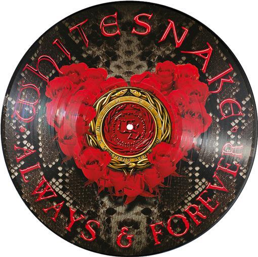 Whitesnake | Always & Forever | Vinyl
