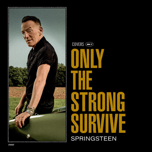 Bruce Springsteen | Only The Strong Survive (Colored Vinyl, Orange, Gatefold LP Jacket, Poster, Indie Exclusive) (2 Lp's) | Vinyl