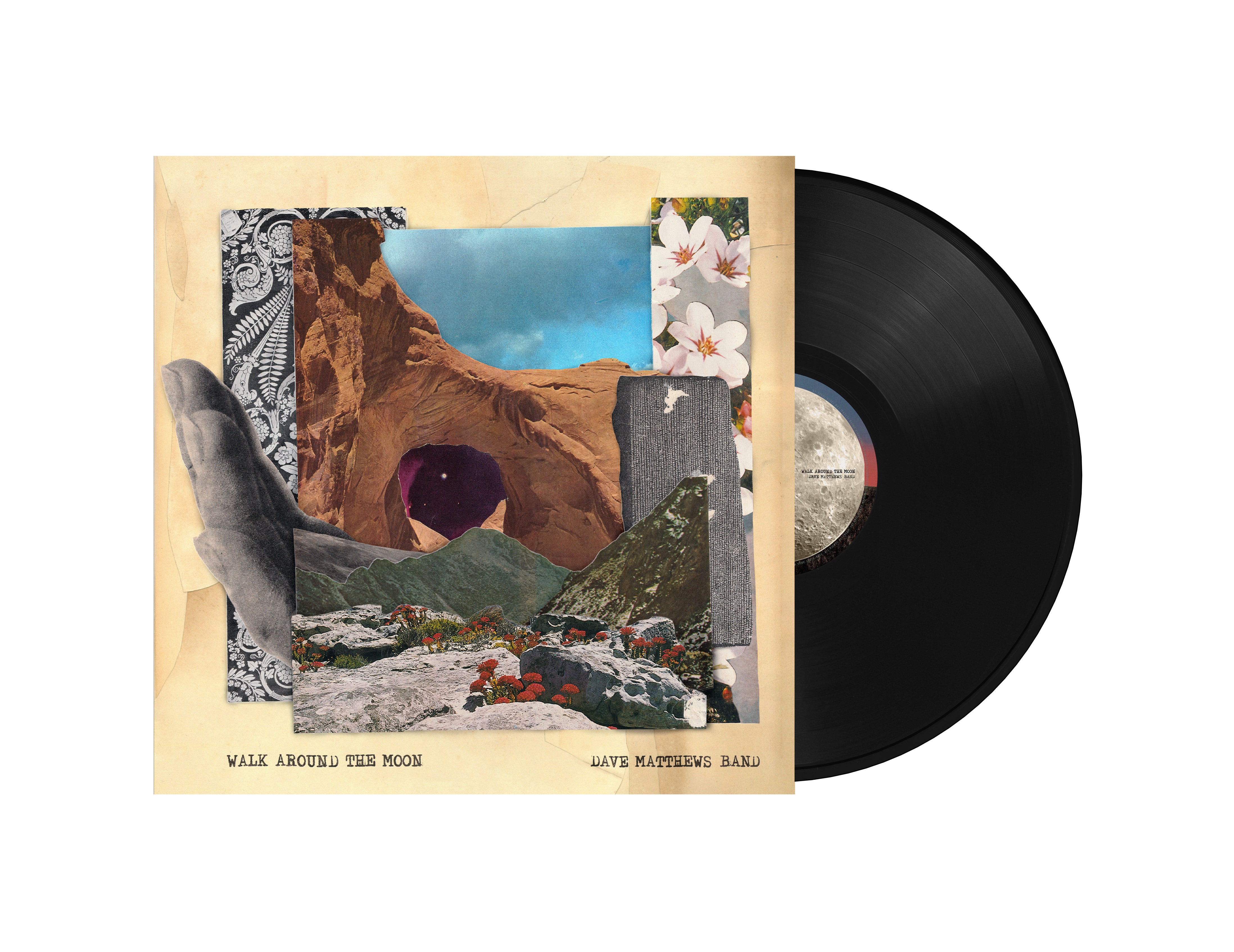 Dave Matthews Band | Walk Around The Moon (Wide Vinyl, Black) | Vinyl