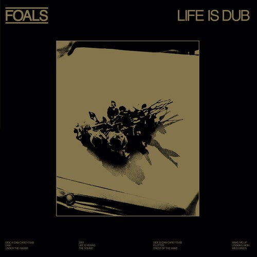 Foals | Life Is Dub (RSD 4.22.23) | Vinyl