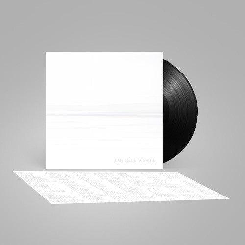 Foo Fighters | But Here We Are (Black Vinyl) | Vinyl
