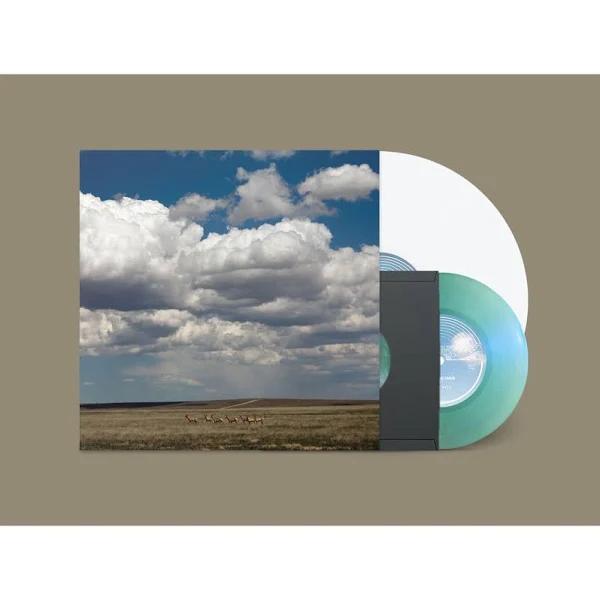 Fruit Bats | Tripper (Colored Vinyl, White, Deluxe Edition, Reissue) (Bonus 7" Single) | Vinyl