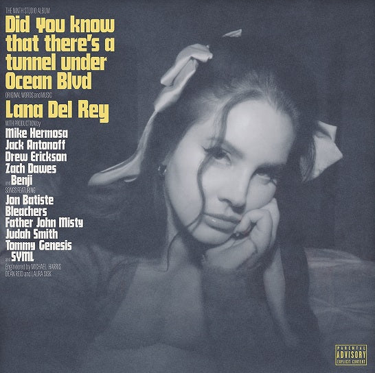 Lana Did You Know Tunnel Under Ocean Vinyl Record