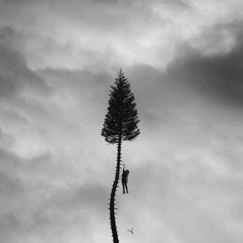 Manchester Orchestra | A Black Mile To The Surface [Gray Marble 2 LP] | Vinyl