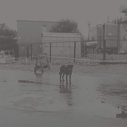NIVHEK | After its own death / Walking in a spiral towards the house | Vinyl