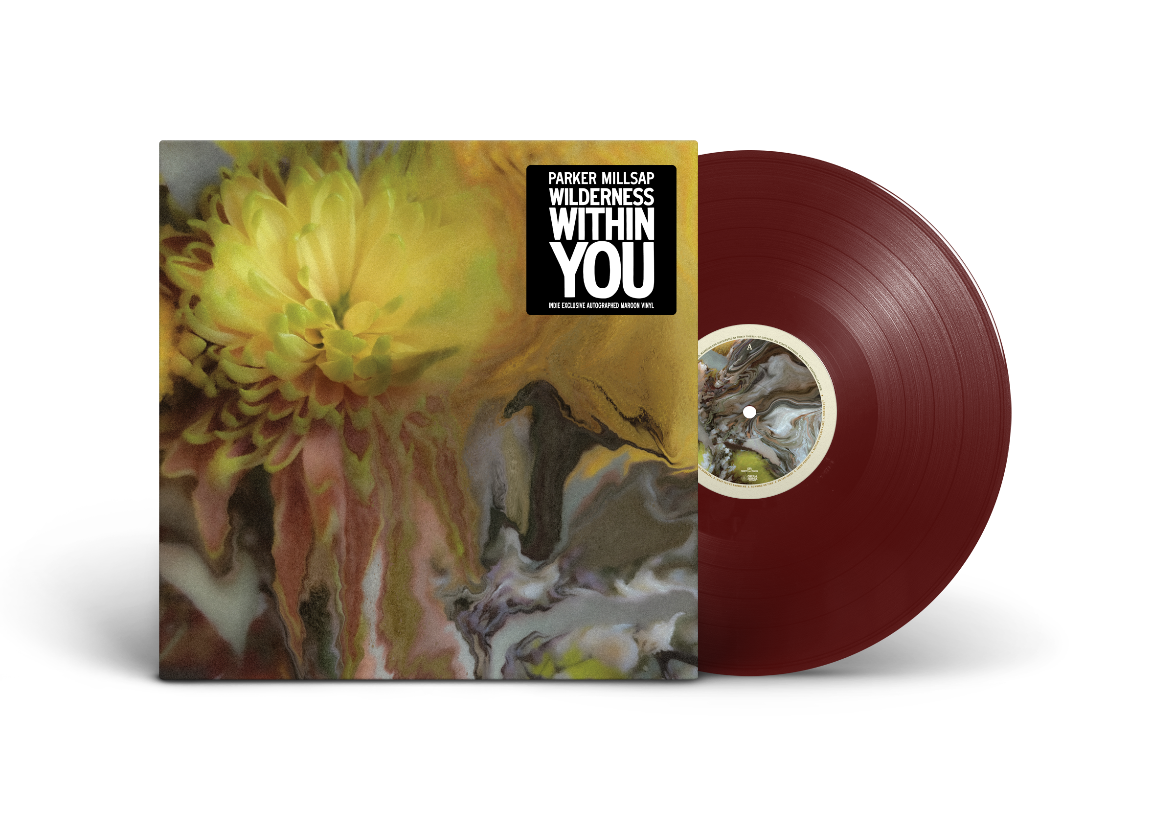 Parker Millsap | Wilderness Within You (Indie Exclusive) | Vinyl