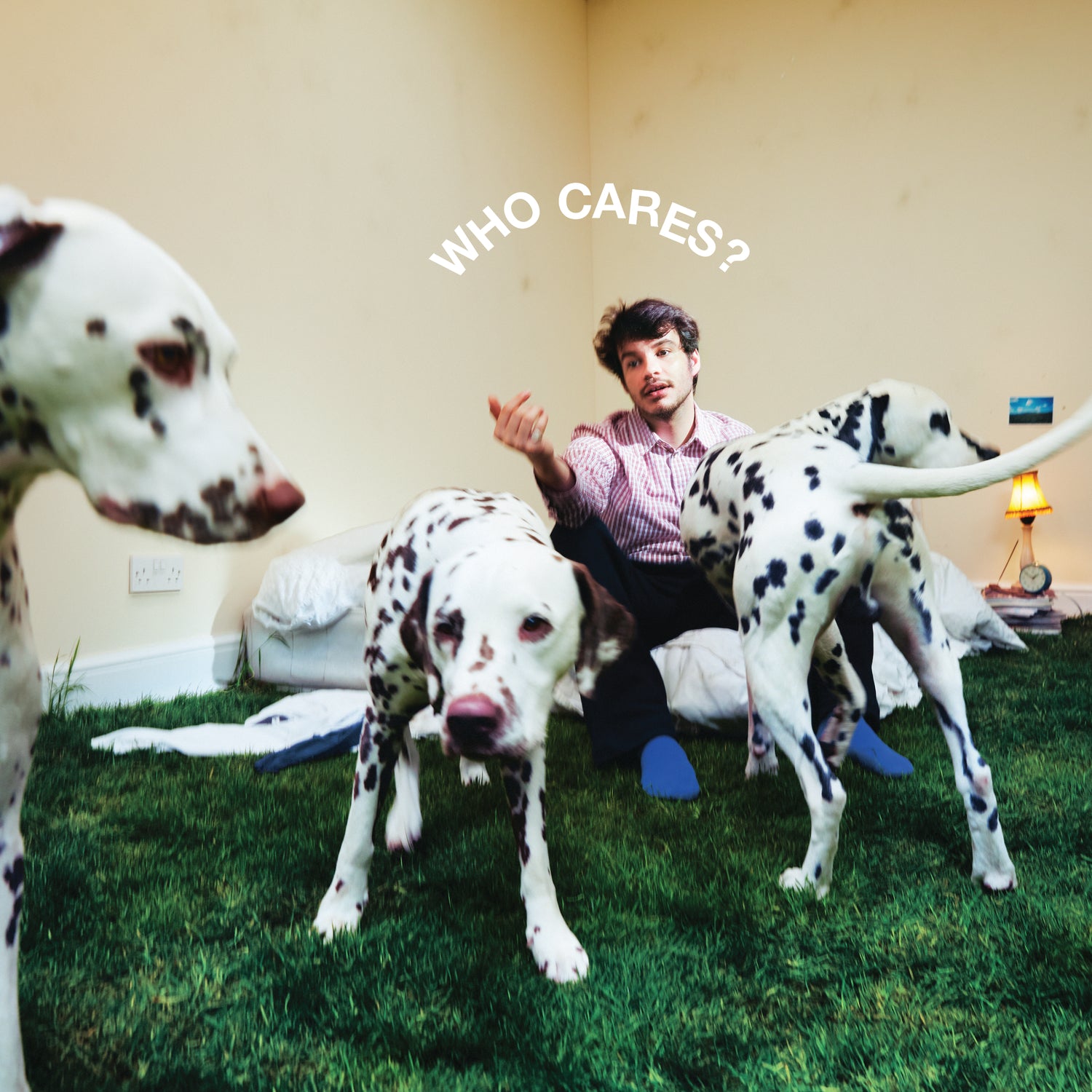 Rex Orange County | Who Cares? | Vinyl