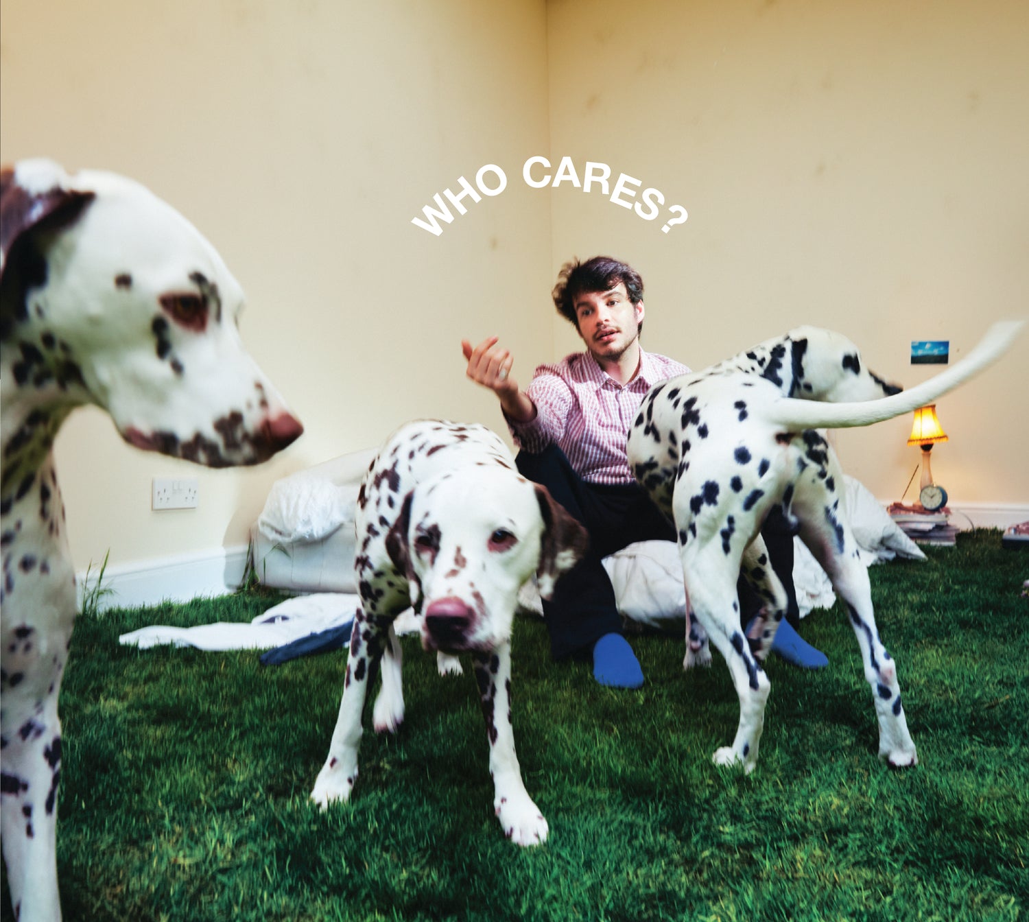 Rex Orange County | Who Cares? | CD