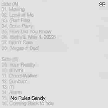 Sylvan Esso | No Rules Sandy (Indie Exclusive, Limited Edition, Colored Vinyl) | Vinyl