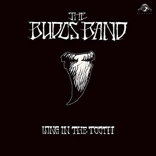 The Budos Band | Long In The Tooth (Digital Download Card) | Vinyl